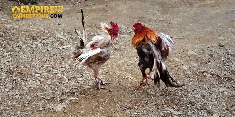 Quản Lý Ngân Sách
